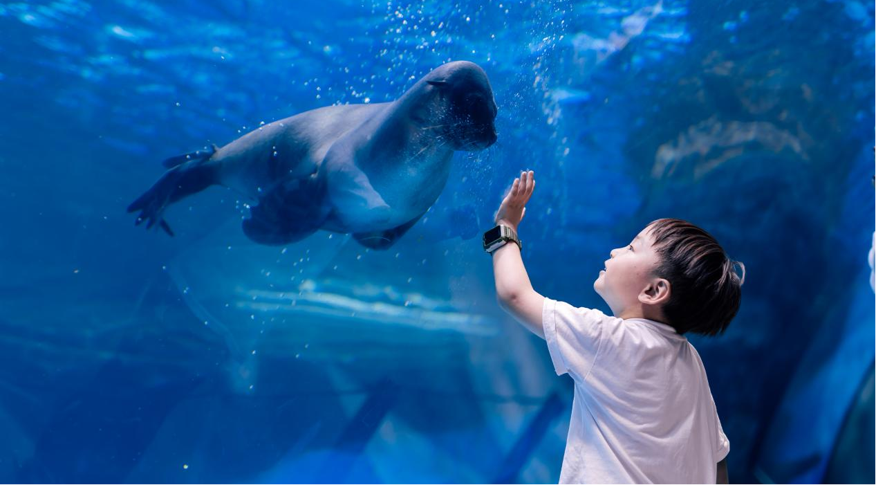 冰球突破-冰球电游豪华版_MG冰球游戏