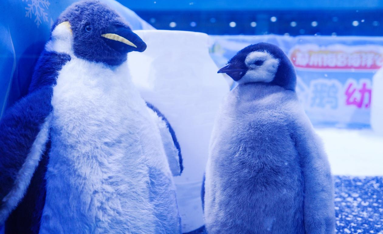 冰球突破-冰球电游豪华版_MG冰球游戏