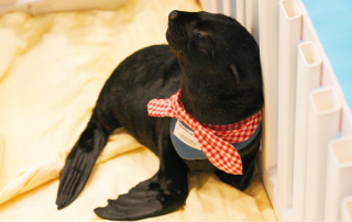 冰球突破-冰球电游豪华版_MG冰球游戏