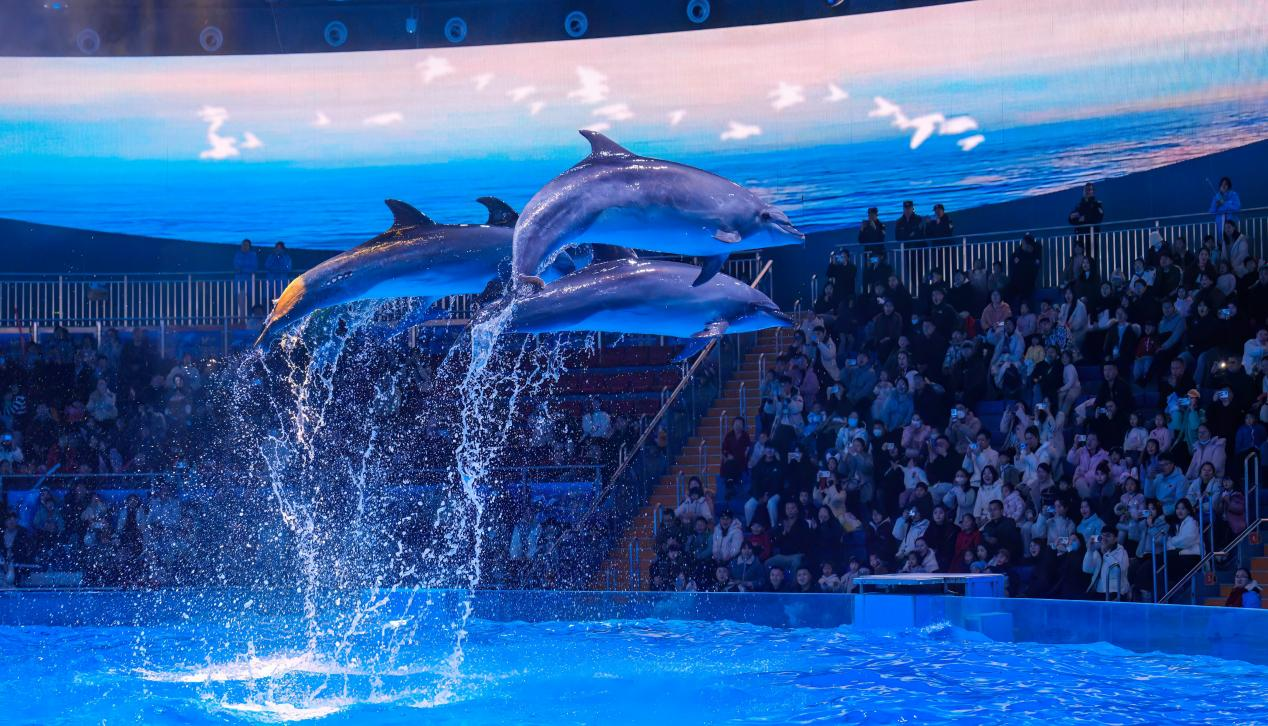 冰球突破-冰球电游豪华版_MG冰球游戏