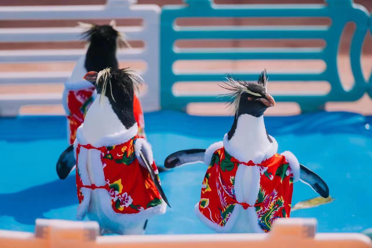 冰球突破-冰球电游豪华版_MG冰球游戏