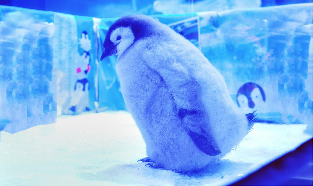 冰球突破-冰球电游豪华版_MG冰球游戏