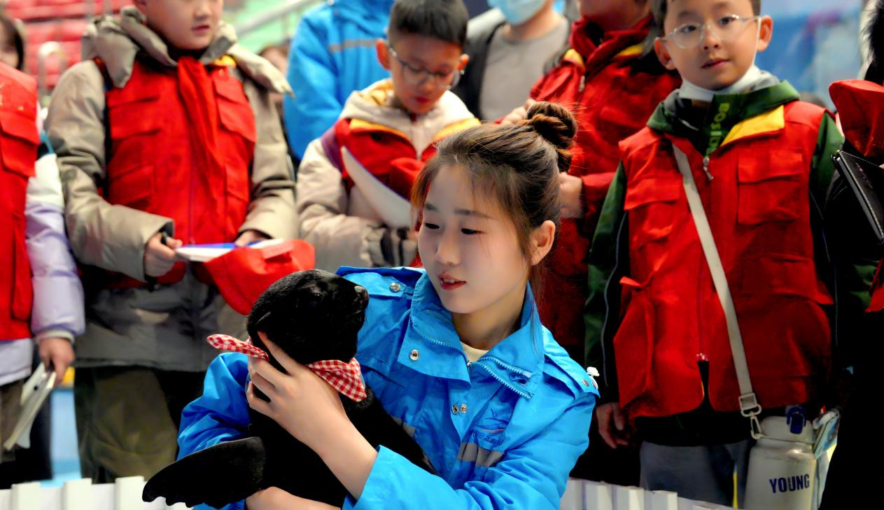 冰球突破-冰球电游豪华版_MG冰球游戏