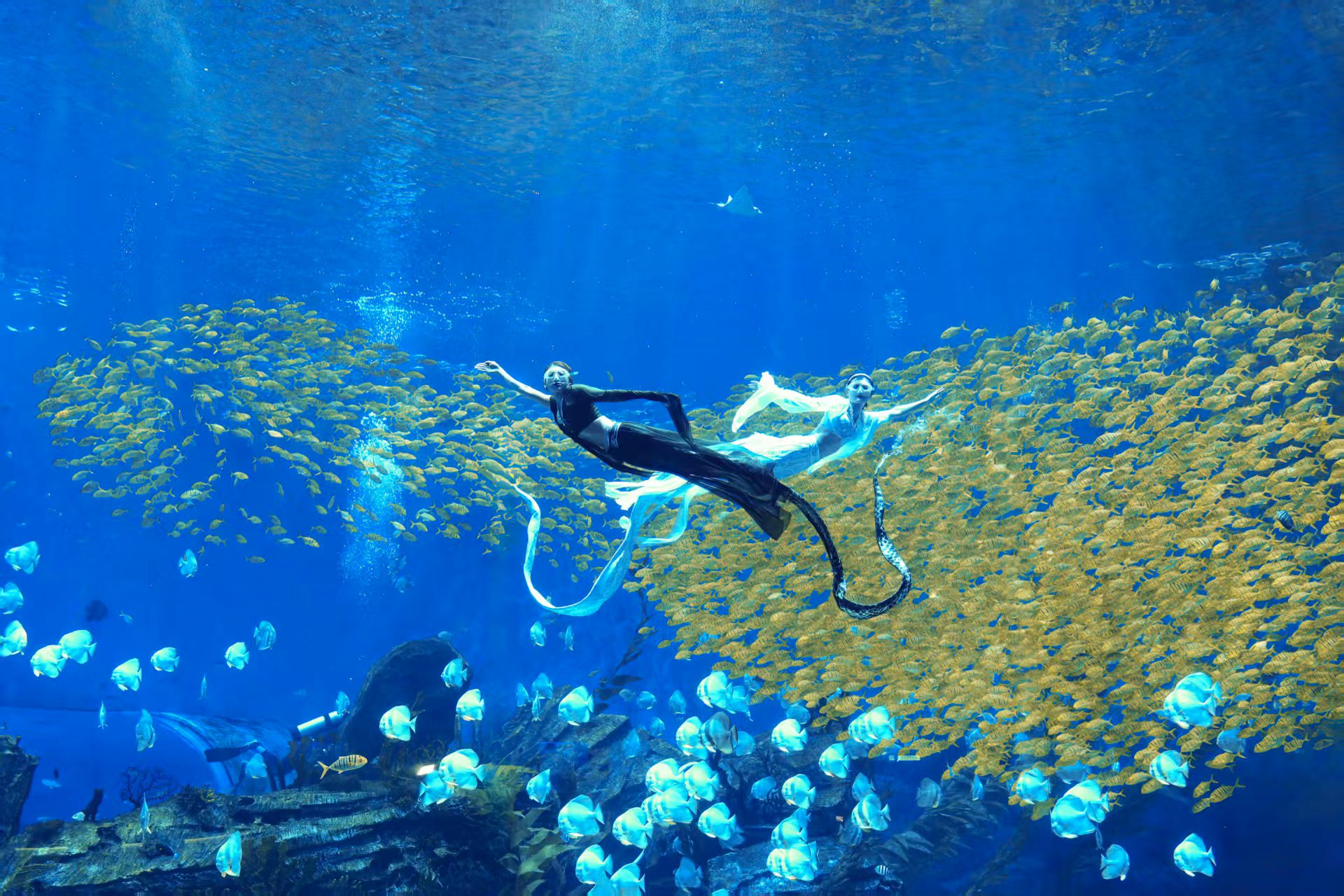 冰球突破-冰球电游豪华版_MG冰球游戏