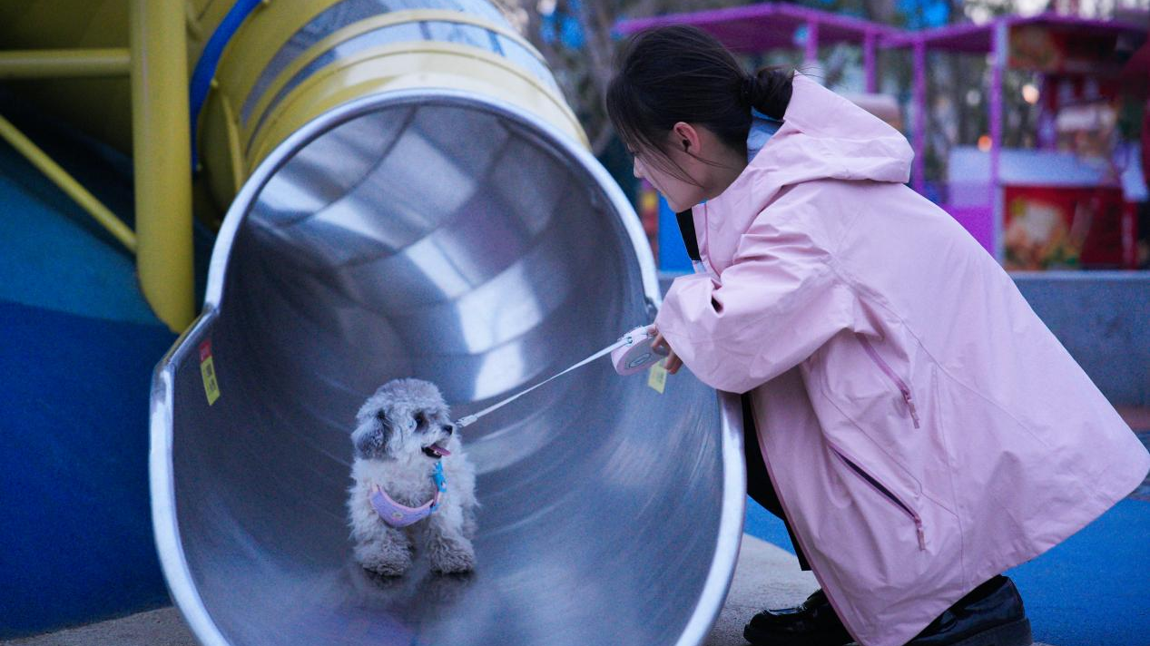 冰球突破-冰球电游豪华版_MG冰球游戏