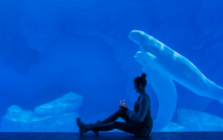 冰球突破-冰球电游豪华版_MG冰球游戏