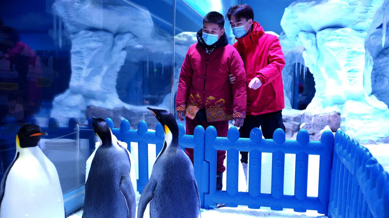 冰球突破-冰球电游豪华版_MG冰球游戏