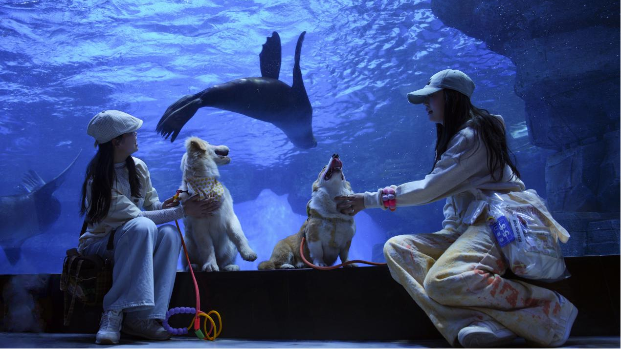 冰球突破-冰球电游豪华版_MG冰球游戏