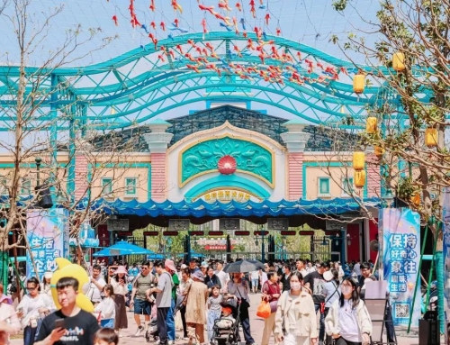 两大主题旅馆五一档满房！郑州冰球突破海洋公园打造多元沐日狂欢体验引爆假期客流！