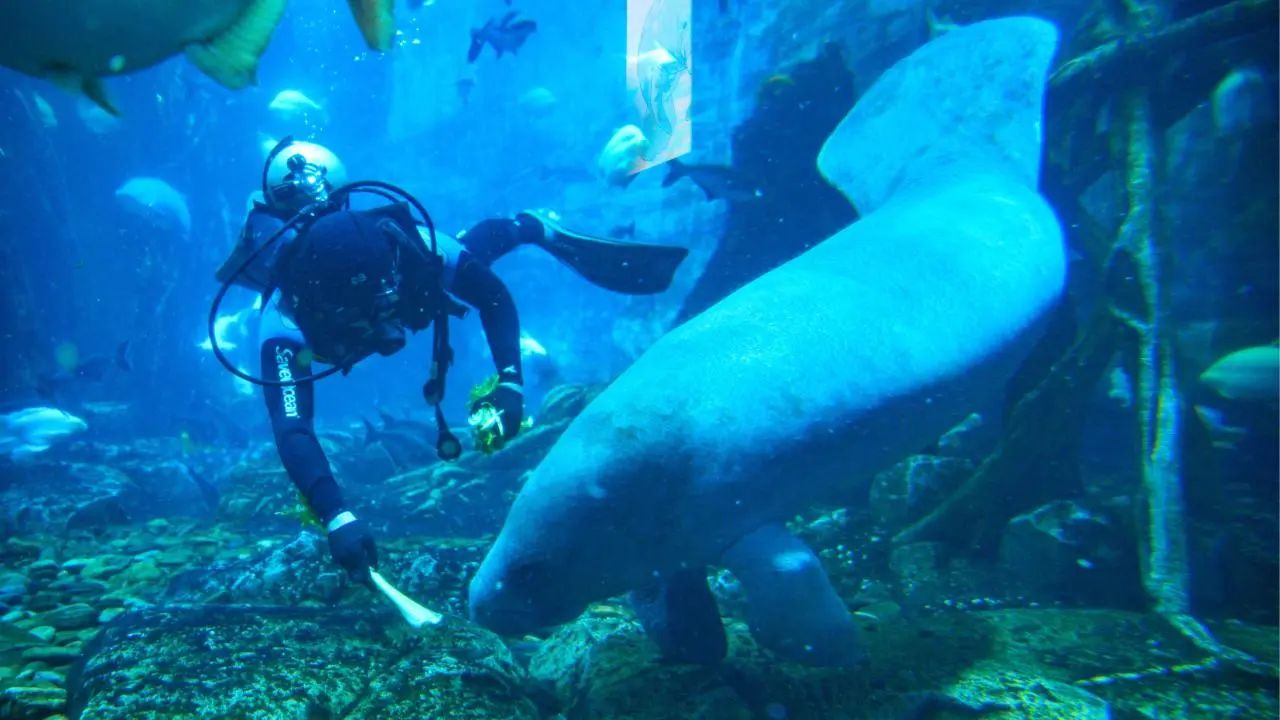 冰球突破-冰球电游豪华版_MG冰球游戏