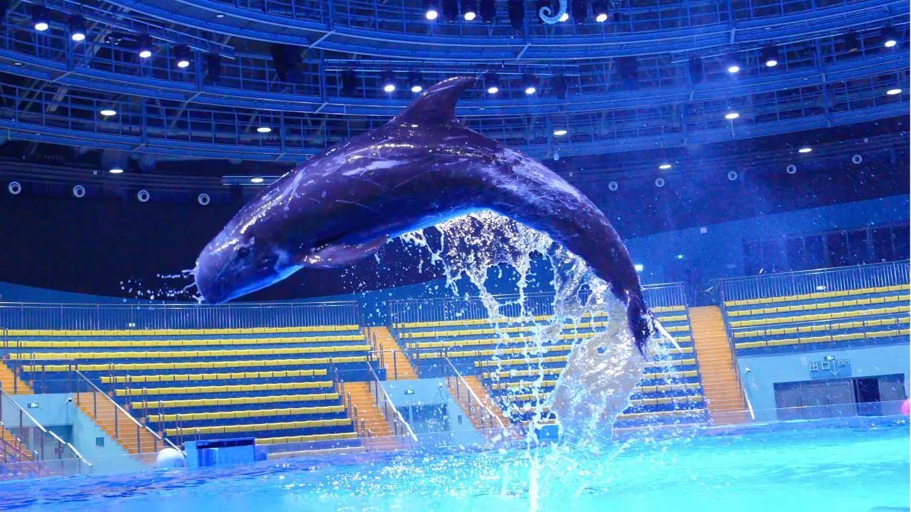 冰球突破-冰球电游豪华版_MG冰球游戏