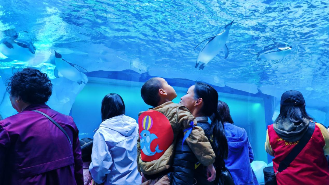 冰球突破-冰球电游豪华版_MG冰球游戏