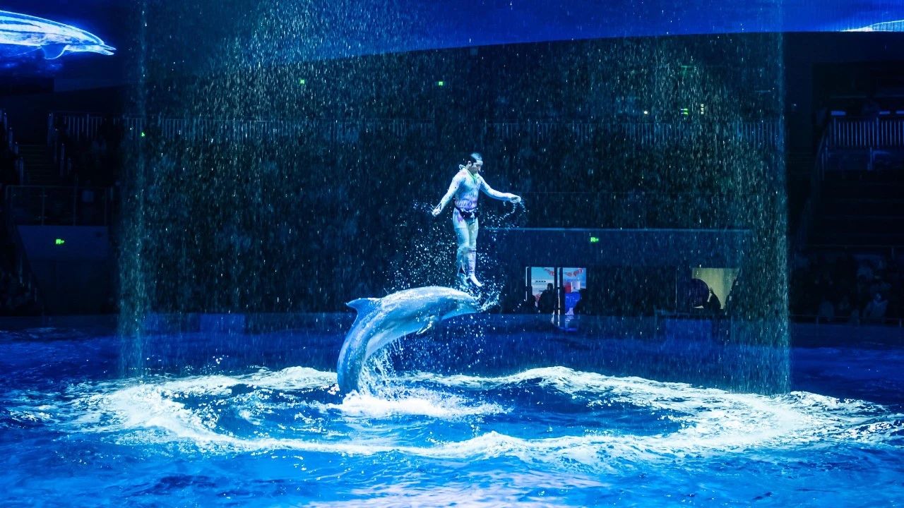 冰球突破-冰球电游豪华版_MG冰球游戏