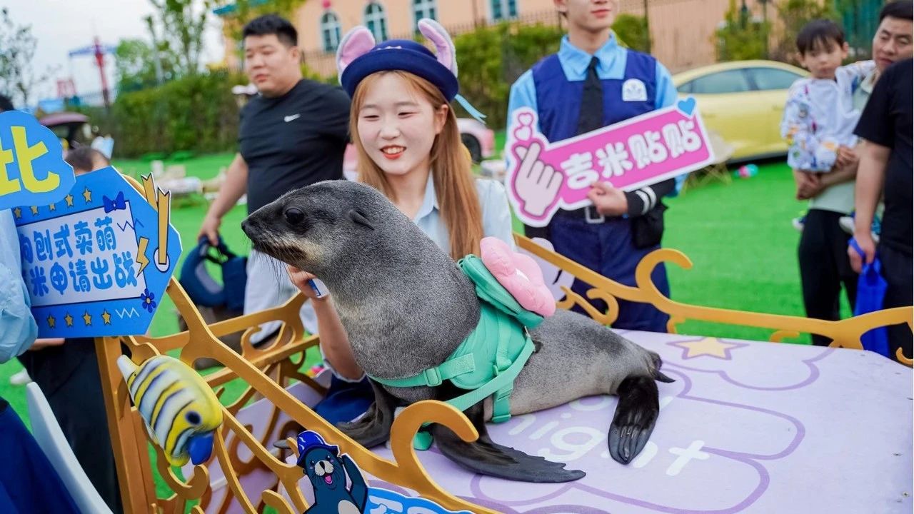 冰球突破-冰球电游豪华版_MG冰球游戏