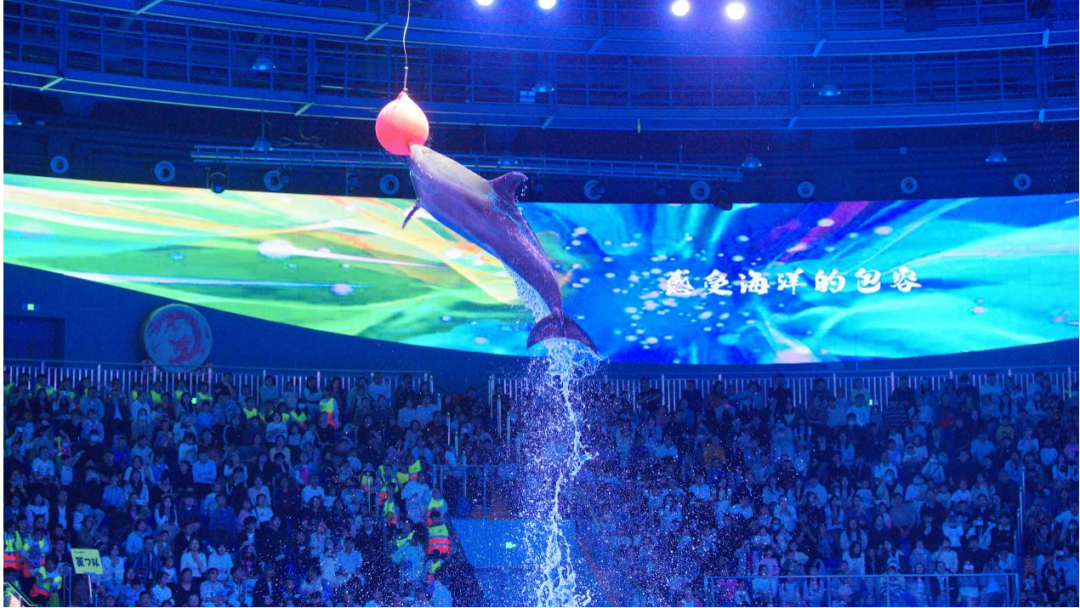 冰球突破-冰球电游豪华版_MG冰球游戏