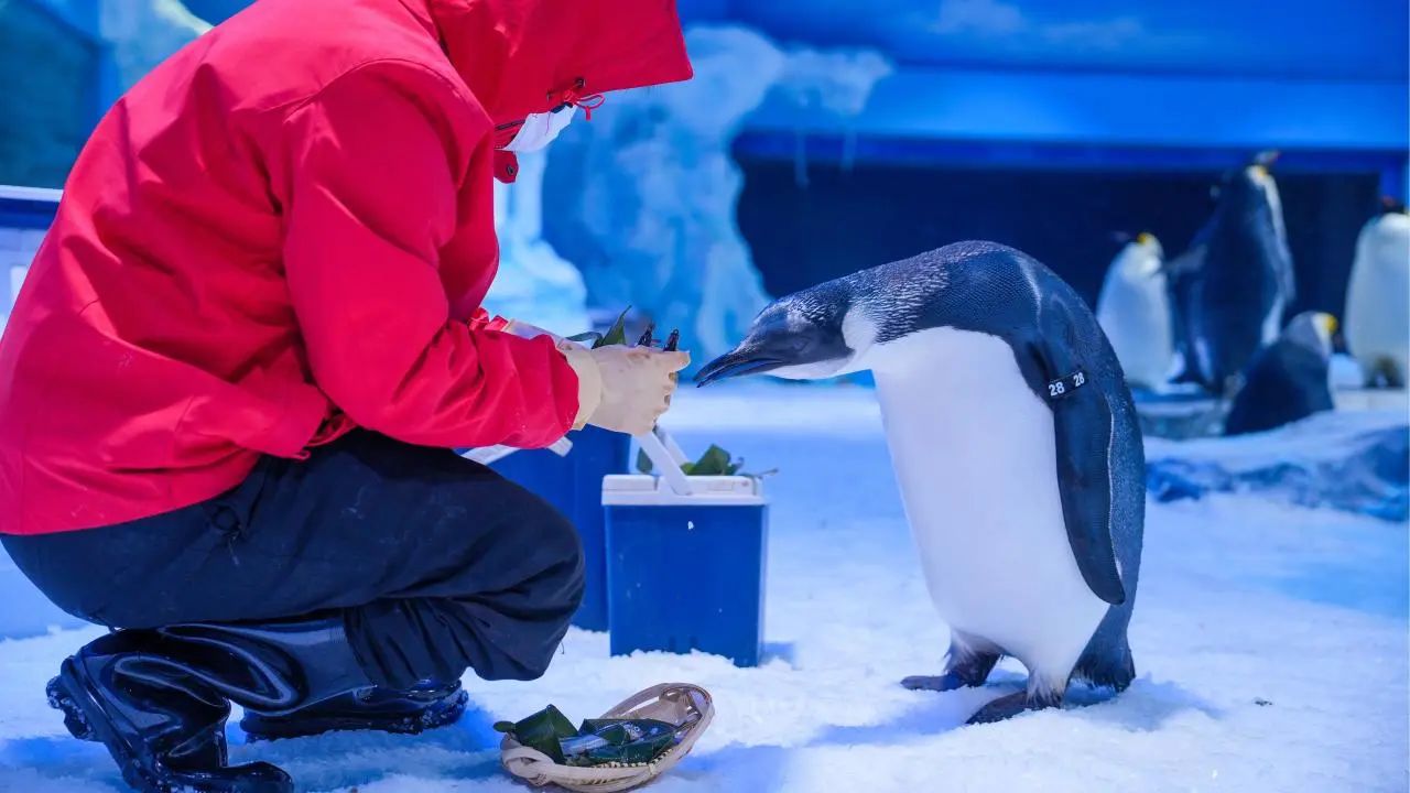 冰球突破-冰球电游豪华版_MG冰球游戏