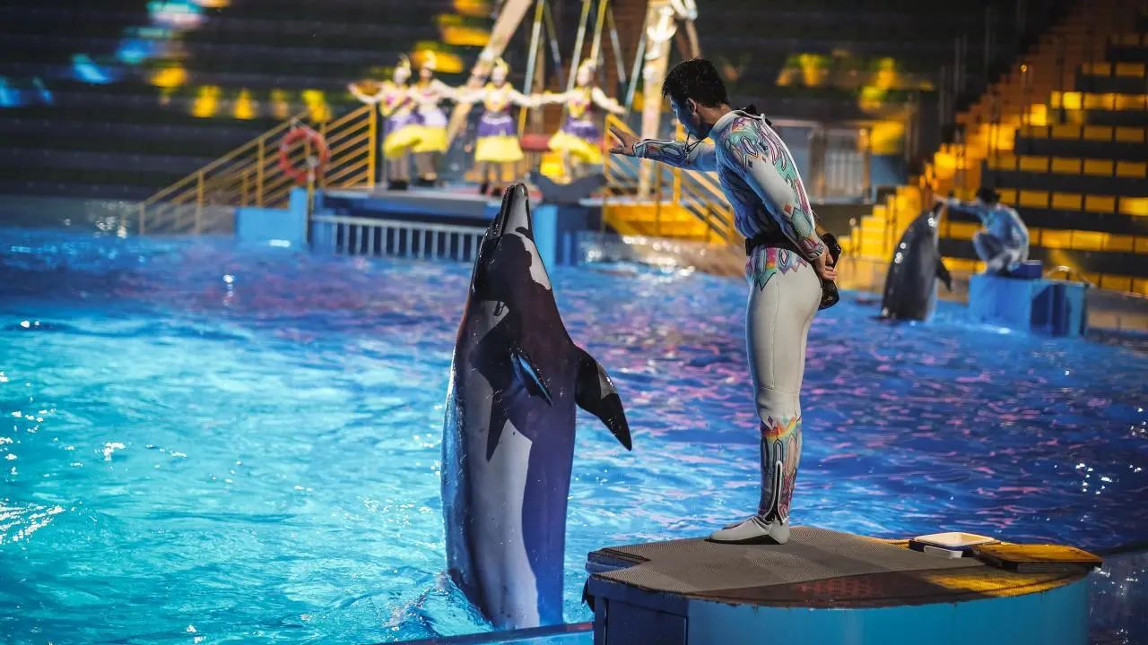 冰球突破-冰球电游豪华版_MG冰球游戏