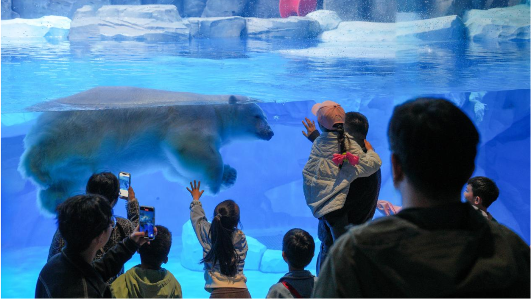 冰球突破-冰球电游豪华版_MG冰球游戏