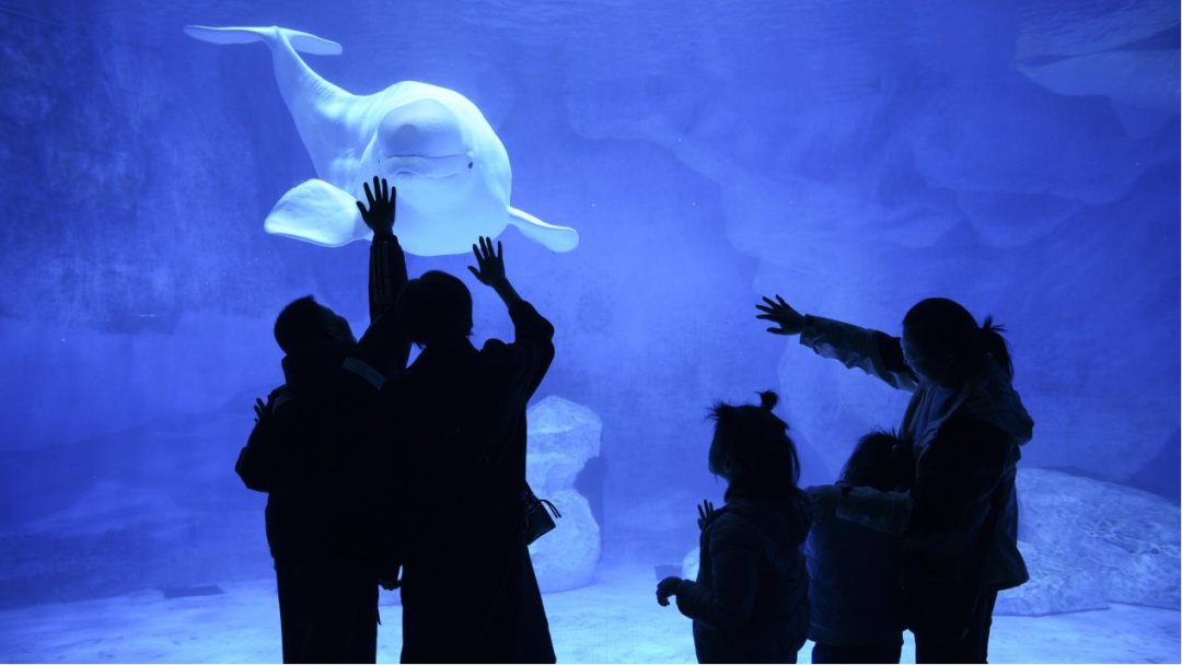 冰球突破-冰球电游豪华版_MG冰球游戏