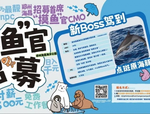 郑州冰球突破海洋公园月薪三万招募“首席摸鱼官”！中原将迎来首个点斑原海豚天团