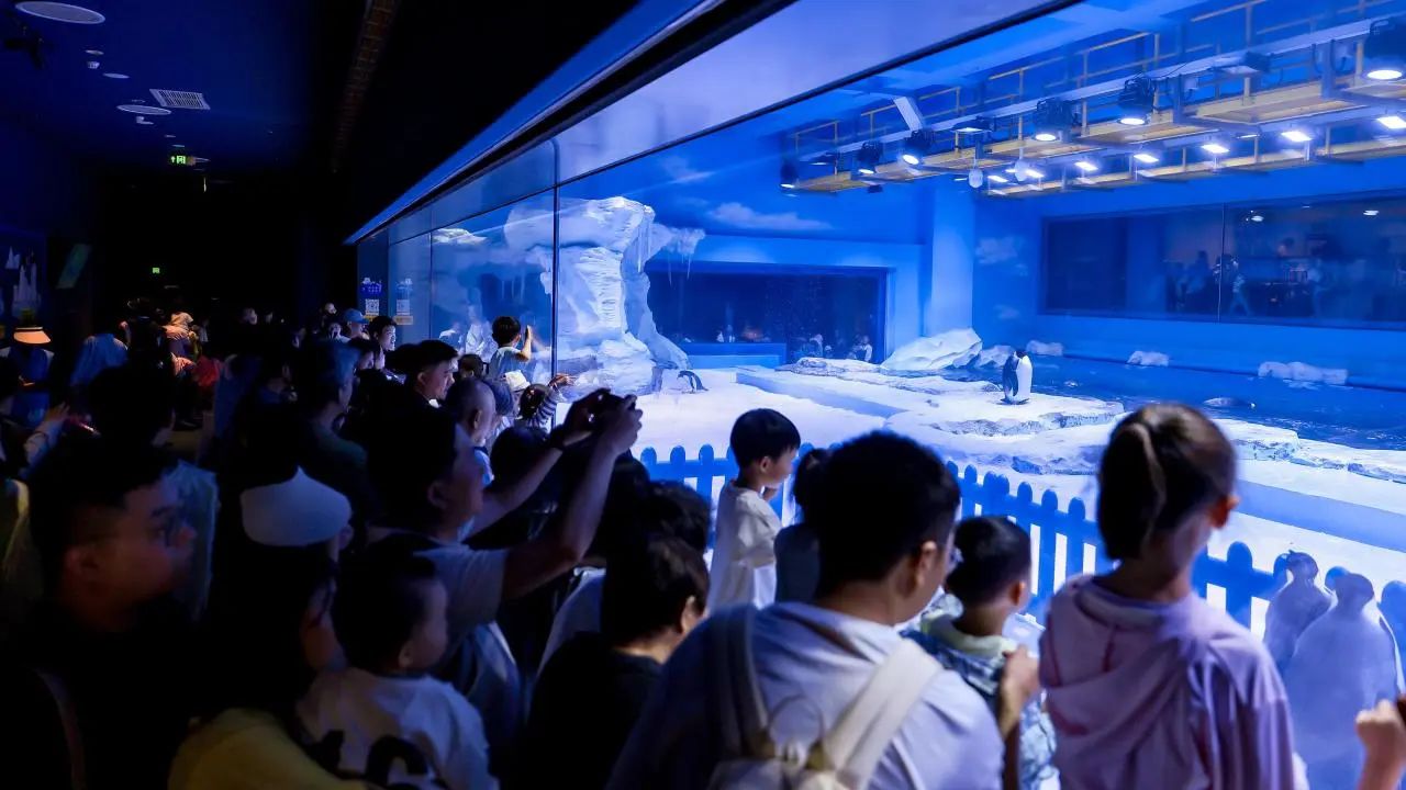 冰球突破-冰球电游豪华版_MG冰球游戏