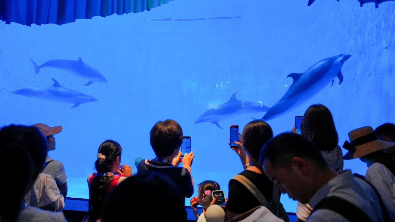 冰球突破-冰球电游豪华版_MG冰球游戏