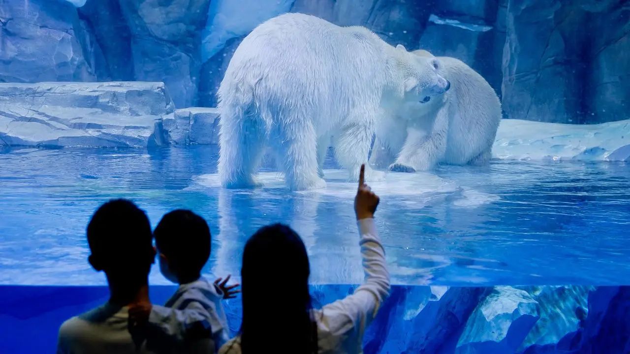 冰球突破-冰球电游豪华版_MG冰球游戏