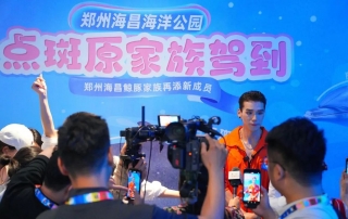 冰球突破-冰球电游豪华版_MG冰球游戏