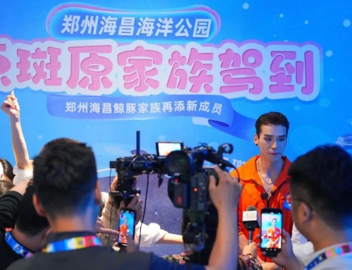 中原首次引进点斑原海豚，，郑州冰球突破海洋公园打造鲸豚保育新标杆！