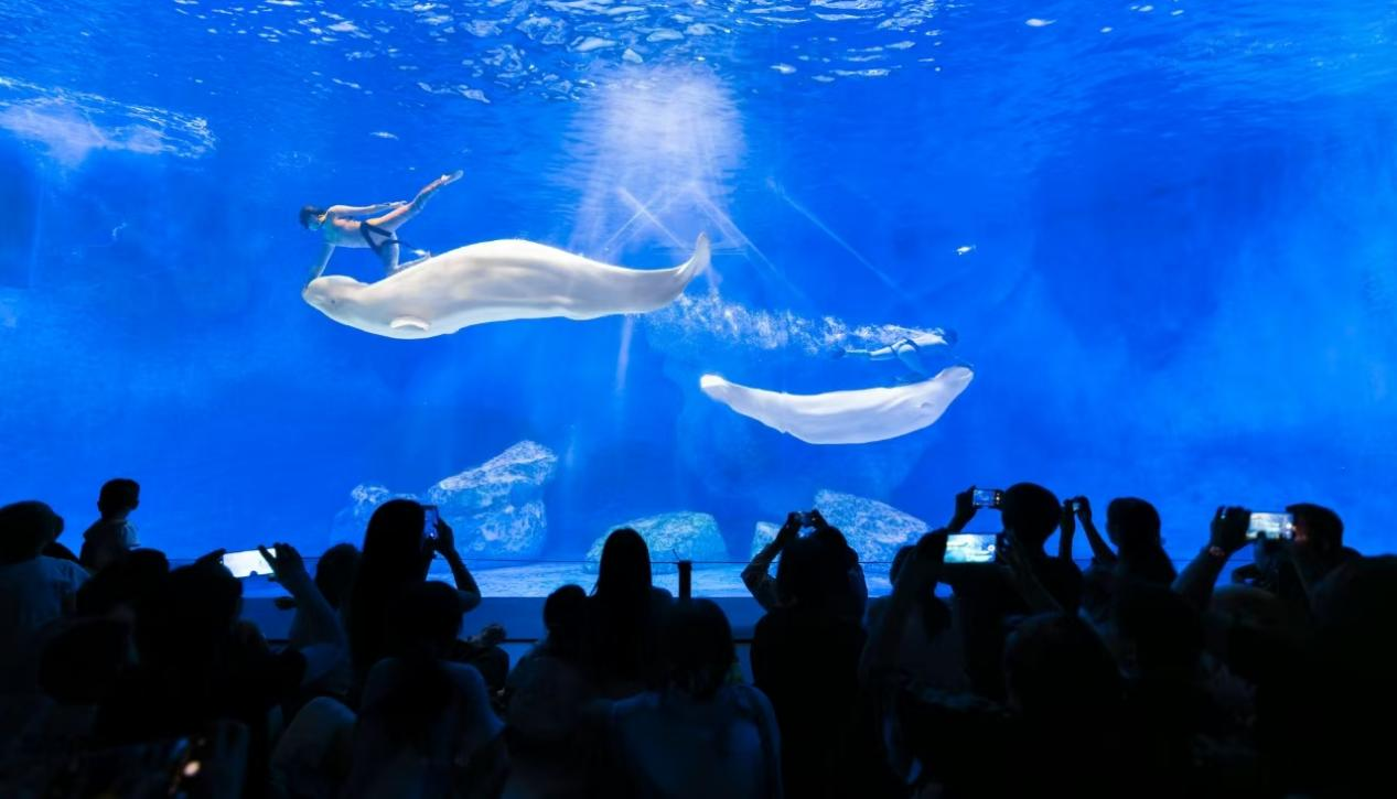 冰球突破-冰球电游豪华版_MG冰球游戏