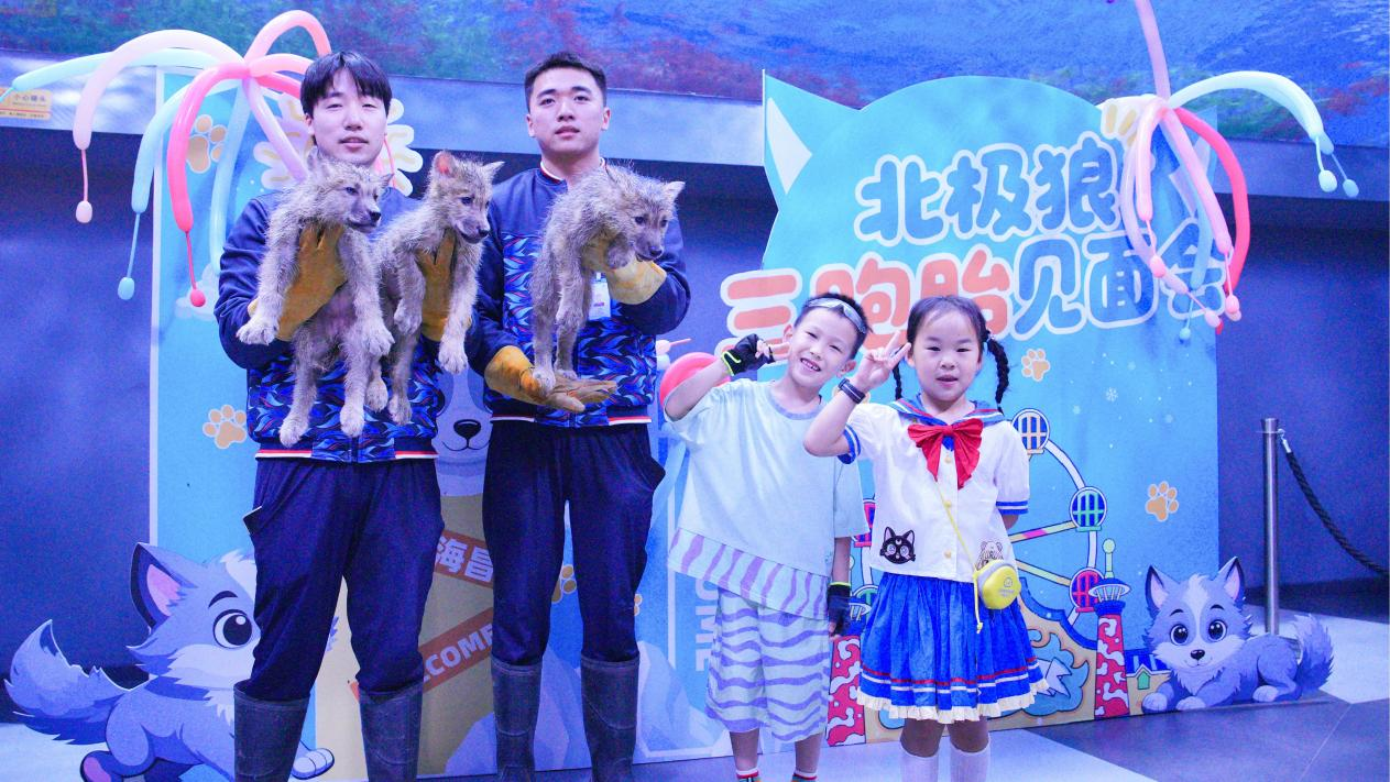 冰球突破-冰球电游豪华版_MG冰球游戏