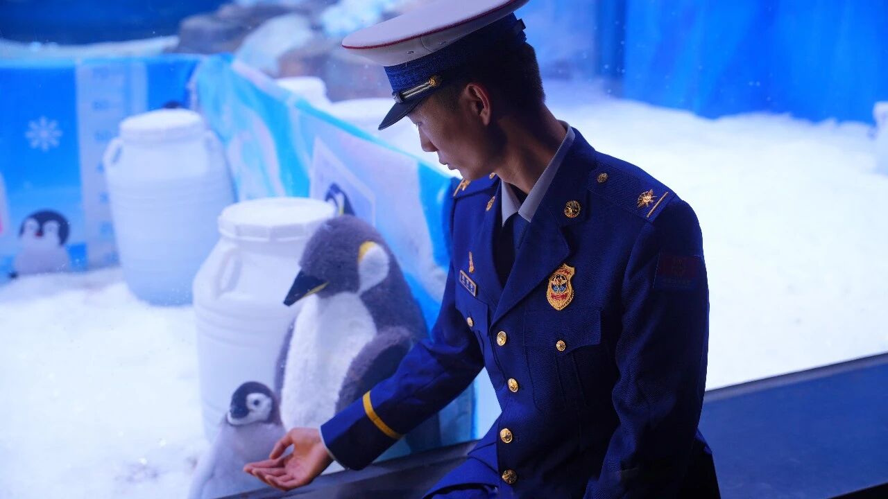 冰球突破-冰球电游豪华版_MG冰球游戏