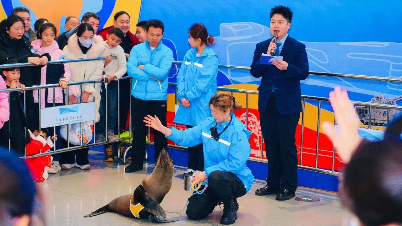 冰球突破-冰球电游豪华版_MG冰球游戏