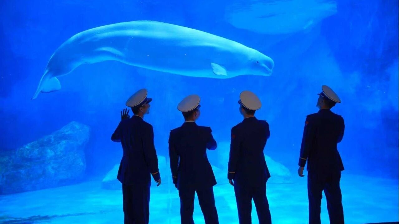 冰球突破-冰球电游豪华版_MG冰球游戏