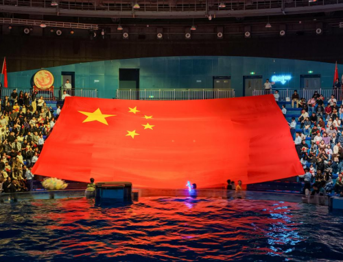 郑州冰球突破海洋公园山海国潮盛宴燃动黄金周，，，“深海迷踪夜”热力接档掀新潮