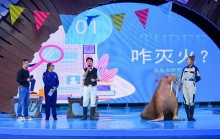 冰球突破-冰球电游豪华版_MG冰球游戏