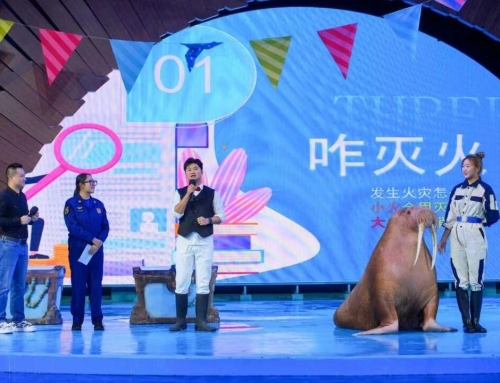 “海洋蓝”邂逅“火焰蓝”！！郑州冰球突破以海洋文化科普构建清静教育新场景