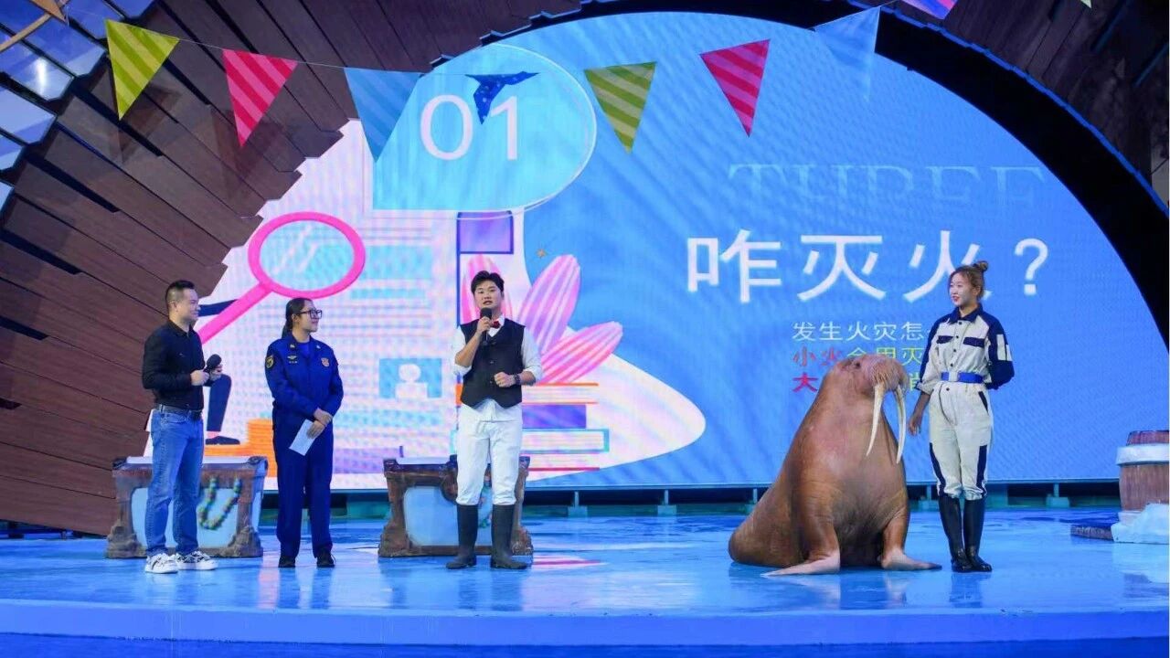 冰球突破-冰球电游豪华版_MG冰球游戏